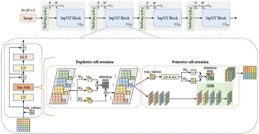 Separable Vision Transformer (SepViT)