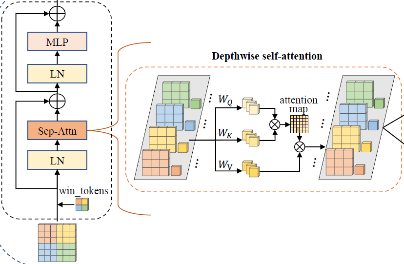 Separable Vision Transformer (SepViT) - Depthwise self-attention