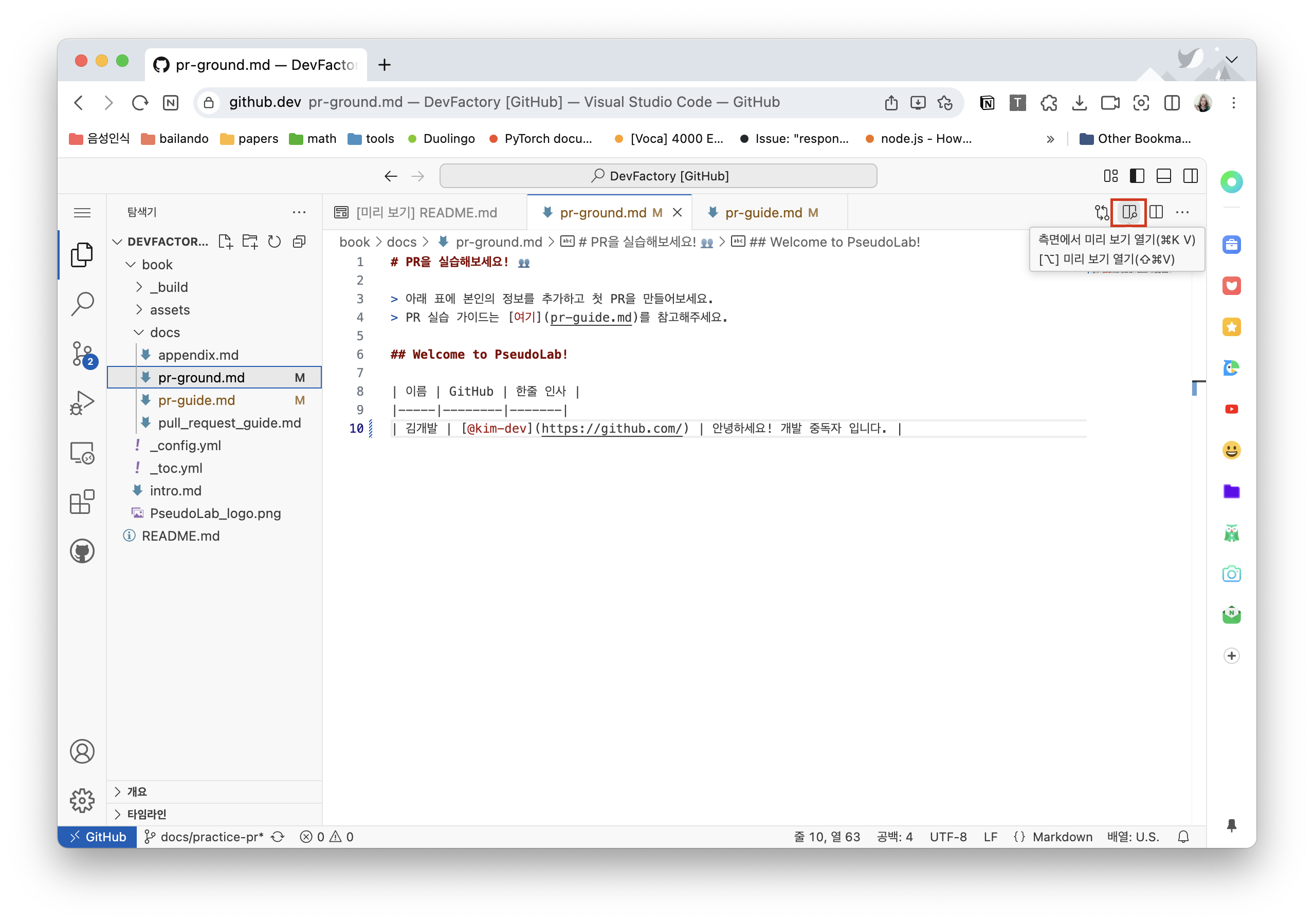 Markdown 미리보기